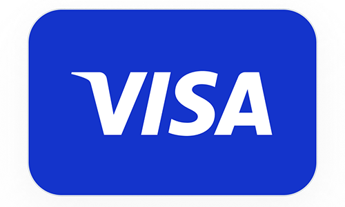 Visa Accept